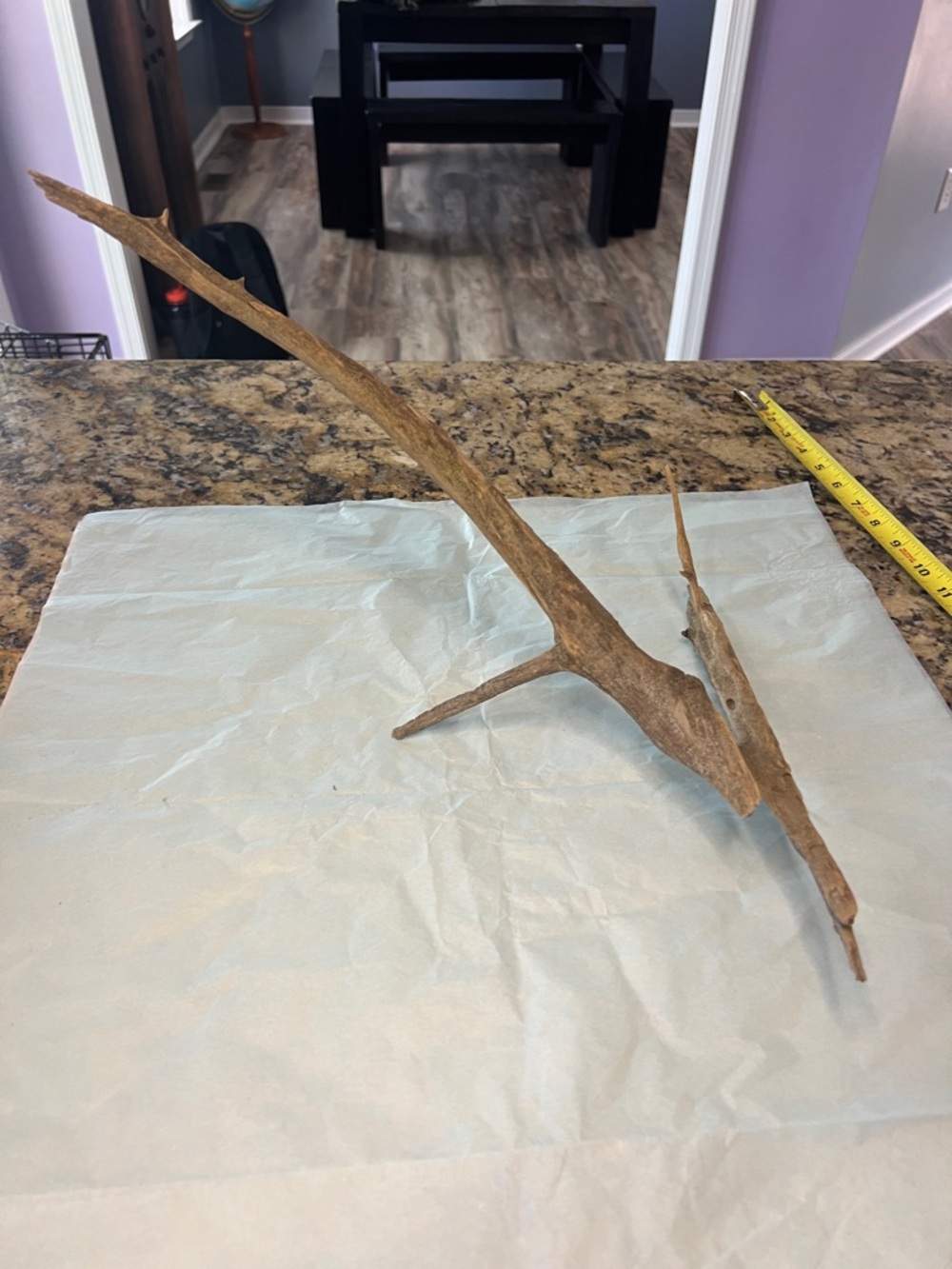 Natural Brown Driftwood from Potomac River